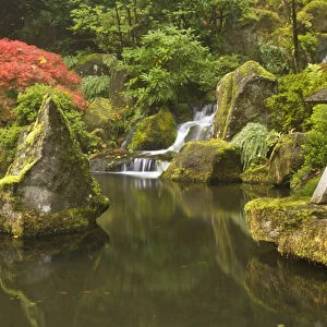 Stone lantern at koi pond at the Portland Japanese Garden, Oregon