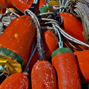 USA, Oregon, Garibaldi. Colorful crab pot buoys