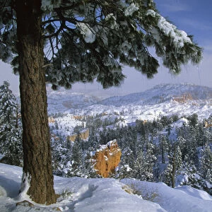 USA, Utah, Bryce Canyon in Winter. Credit as: Nancy Rotenberg / Jaynes Gallery / DanitaDelimont