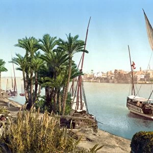 EGYPT: CAIRO. A sailboat on the Nile River with the city in the background, Cairo, Egypt