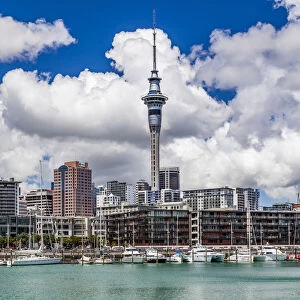 The Sky Tower at Auckland, New Zealand