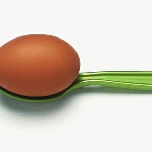 Brown egg on green spoon