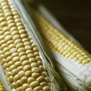 Close-up of a section of fresh corn on the cob