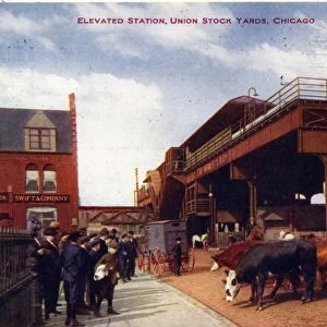 Elevated Station, Union Stock Yards, Chicago