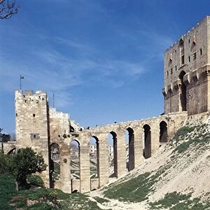 Syria, Aleppo Governorate, Aleppo, Citadel