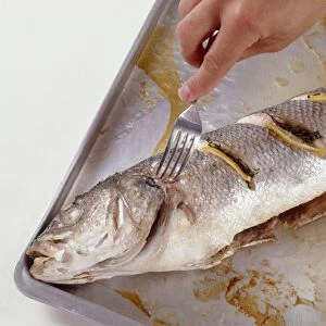 Testing roasted sea bass with a fork, close-up