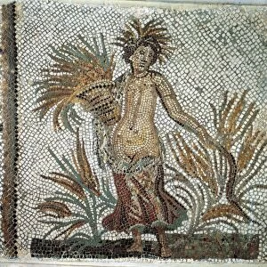 Tunisia, Oudna Mosaic of Allegory of Summer with Ceres harvesting wheat, ancient Uthina