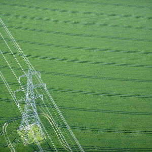 Electricity pylon in wheat field