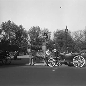 Horse and carriages in street