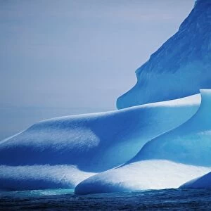 Iceberg is floating south in Labrador current in Northern Labrador