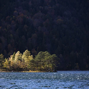 Island in the stormy Eibsee Lake, autumn, Bavaria, Germany, Europe