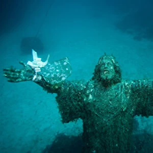 Jesus of Abyss