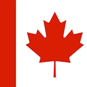 National Flag of Canada Illustration