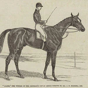 "Alarm, "the Winner of the Emperors Cup at Ascot (engraving)