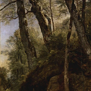Black Birches, Catskill Mountains, 1860 (oil on canvas)