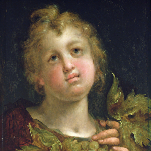 Boy with a bunch of grapes, 1600-5