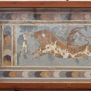 Bull fighting fresco, from Knossos, painted around 1550-1450 BC (fresco)