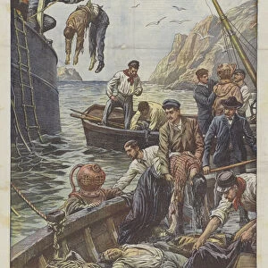 Divers Bring Up Corpses From Liban Steam Shipwrecked Near Marseille (colour litho)