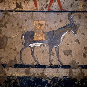 Egyptian antiquite: "the transport of grain on the back of a mule"