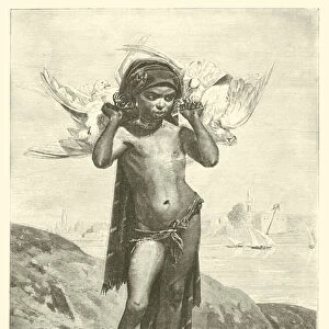 Egyptian Fellah girl with pigeons (engraving)