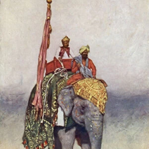 An Elephant from Jaipur (colour litho)