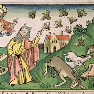 Exodus 8 20-32 The Seven Plagues of Egypt: Moses and the swarm of flies, from the Nuremberg Bible (Biblia Sacra Germanaica) (coloured woodcut)