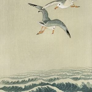 Gulls at Sea, 1910 (colour woodblock print)