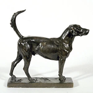 The Hound Pytchley Forager, 1893 (bronze)