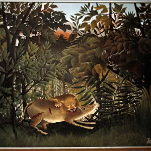 Hungry lion. Painting by Henri Rousseau dit Le Douanier Rousseau (1844-1910)