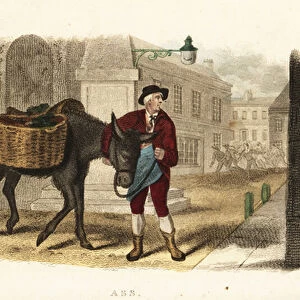 Itinerant vegetable seller reunited with his faithful ass in London