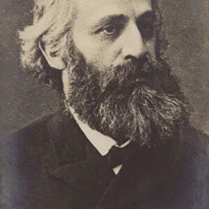 Karl Davydov, Russian cellist (1838-1889) (b / w photo)