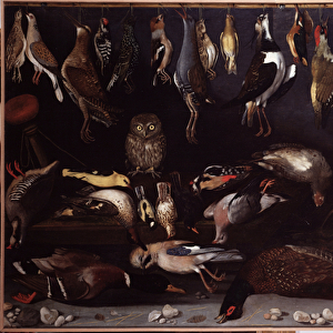 Still life with birds (Bird) Painting attributed to Michelangelo Merisi dit Caravaggio