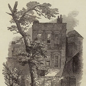 Miltons House, and Tree planted by him, in Petty France, Westminster (engraving)