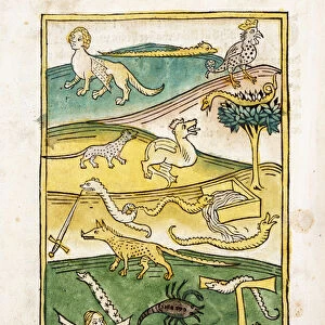 Monsters and snakes in a landscape, 1478 (hand-coloured woodcut)