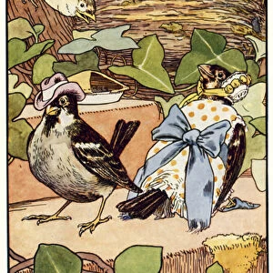 Mr and Mrs Spikky Sparrow (colour litho)