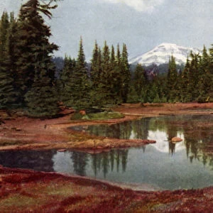 In the Oregon Mountains (colour litho)