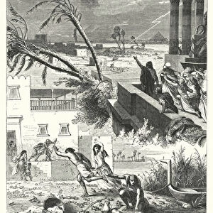 The Plague of Hail and the Plague of Frogs (engraving)