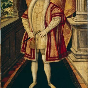 Portrait du roi Edouard VI (1537-1553) d Angleterre et d Irlande (Portrait of the king Edward VI of England). troisieme souverain de la dynastie des Tudor, il est le premier souverain protestant a monter sur le trone