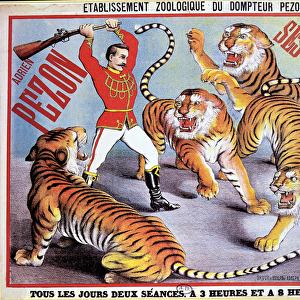 Poster advertising Adrien Pezon and his Tigers, c. 1897 (colour litho)