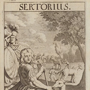 Quintus Sertorius, Roman statesman and general (engraving)