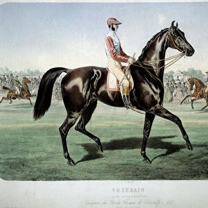 Racing: "Suzerain, winner of the Chantilly derby in 1868"