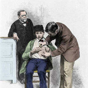 Sciences: Louis Pasteur (1822-1895), French chemist and physicist