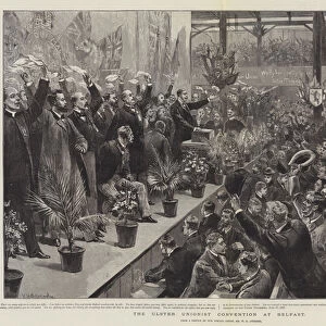 The Ulster Unionist Convention at Belfast (engraving)
