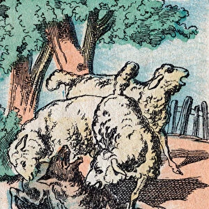 Upside down world: lambs eating wolves, 19th century (epinal print)