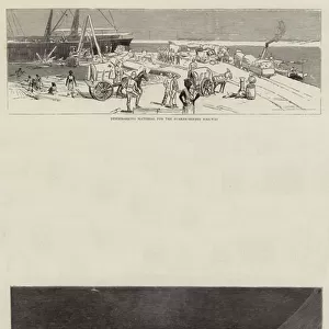 The War in the Soudan, with General Graham at Suakim (engraving)