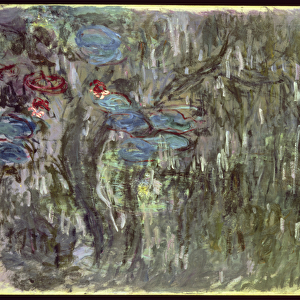 Waterlilies with Reflections of Willows, c. 1920 (oil on canvas)