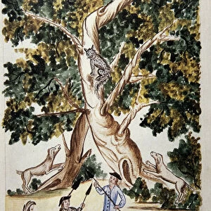 A wild cat perches on a tree, hunters await it, from the book "