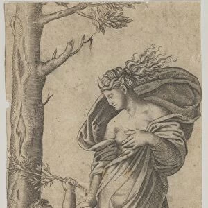 allegory Peace Peace personified woman standing