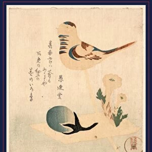 Amezaiku, Candy bubble. Kubo, Shunman, 1757-1820, artist, [between 1810 and 1818]
