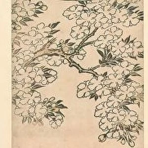 Two courtesan looking sideways under blossoming cherry tree